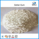 Weiße Nahrungsmittelgrad-Gummi/hoch Acyl-niedriges Acyl-Gemüsegummi Gellan-Fleischproduktion